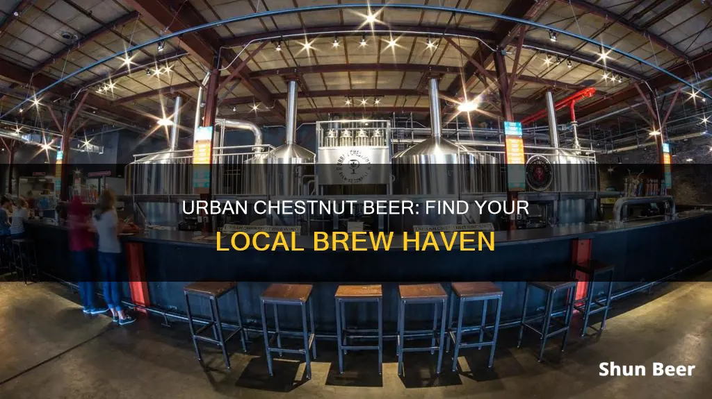 where to buy urban chestnut beer