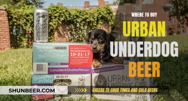 Urban Underdog Beer: Find Your Local Brew Haven