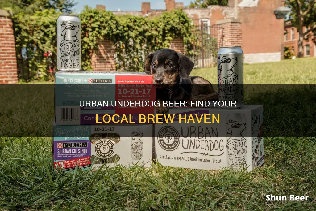 where to buy urban underdog beer