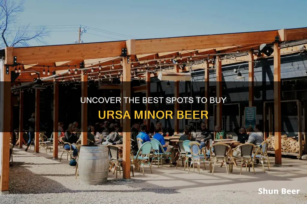 where to buy ursa minor beer