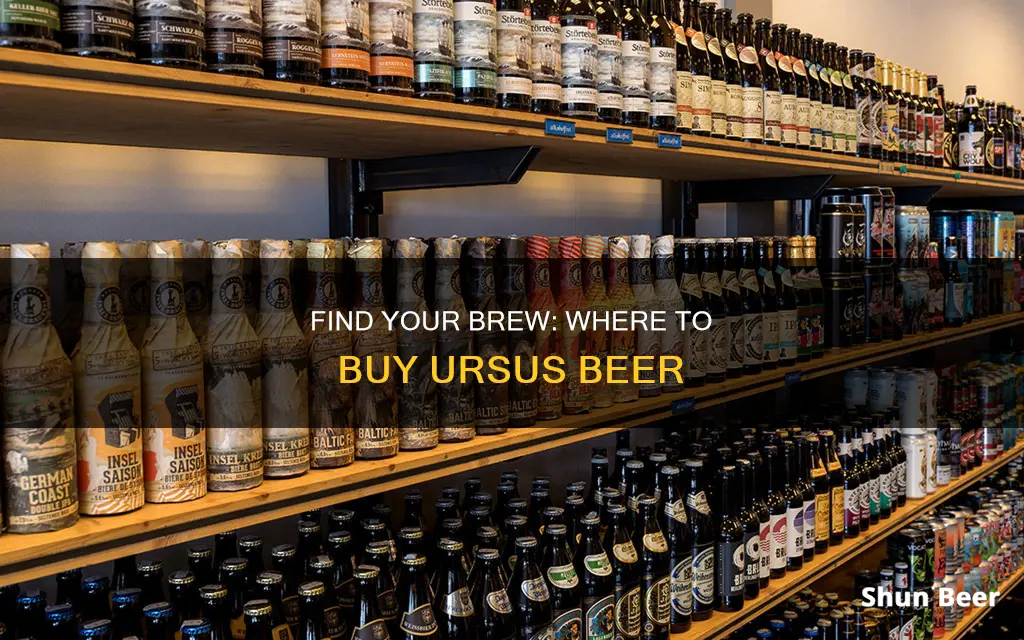 where to buy ursus beer