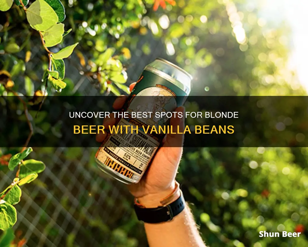 where to buy vanilla bean blonde beer