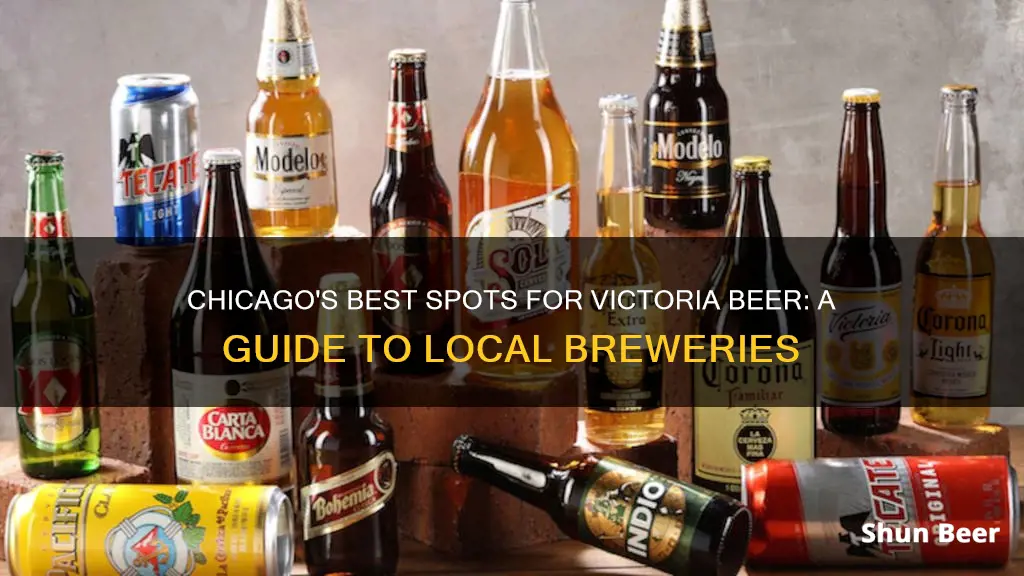 where to buy victoria beer in chicago