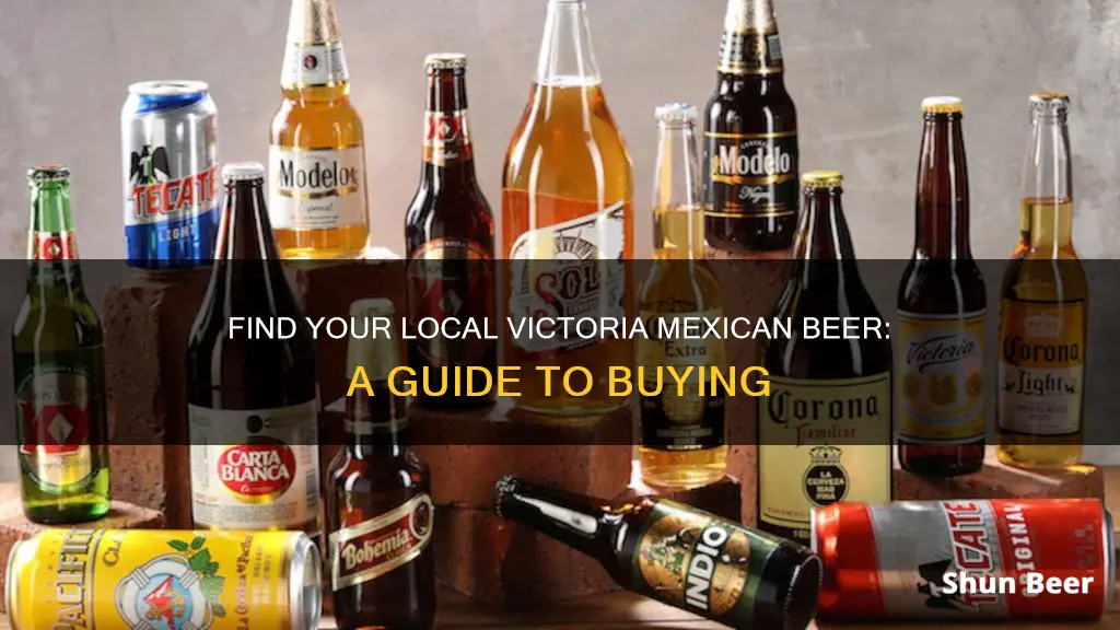 where to buy victoria mexican beer