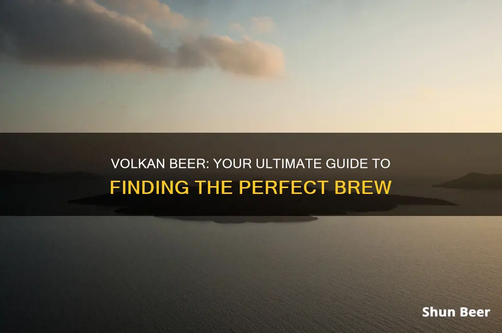 where to buy volkan beer