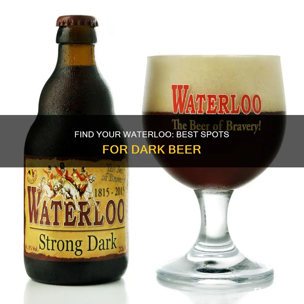 where to buy waterloo dark beer