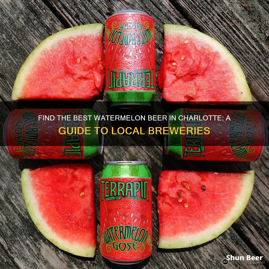 where to buy watermelon beer charlotte