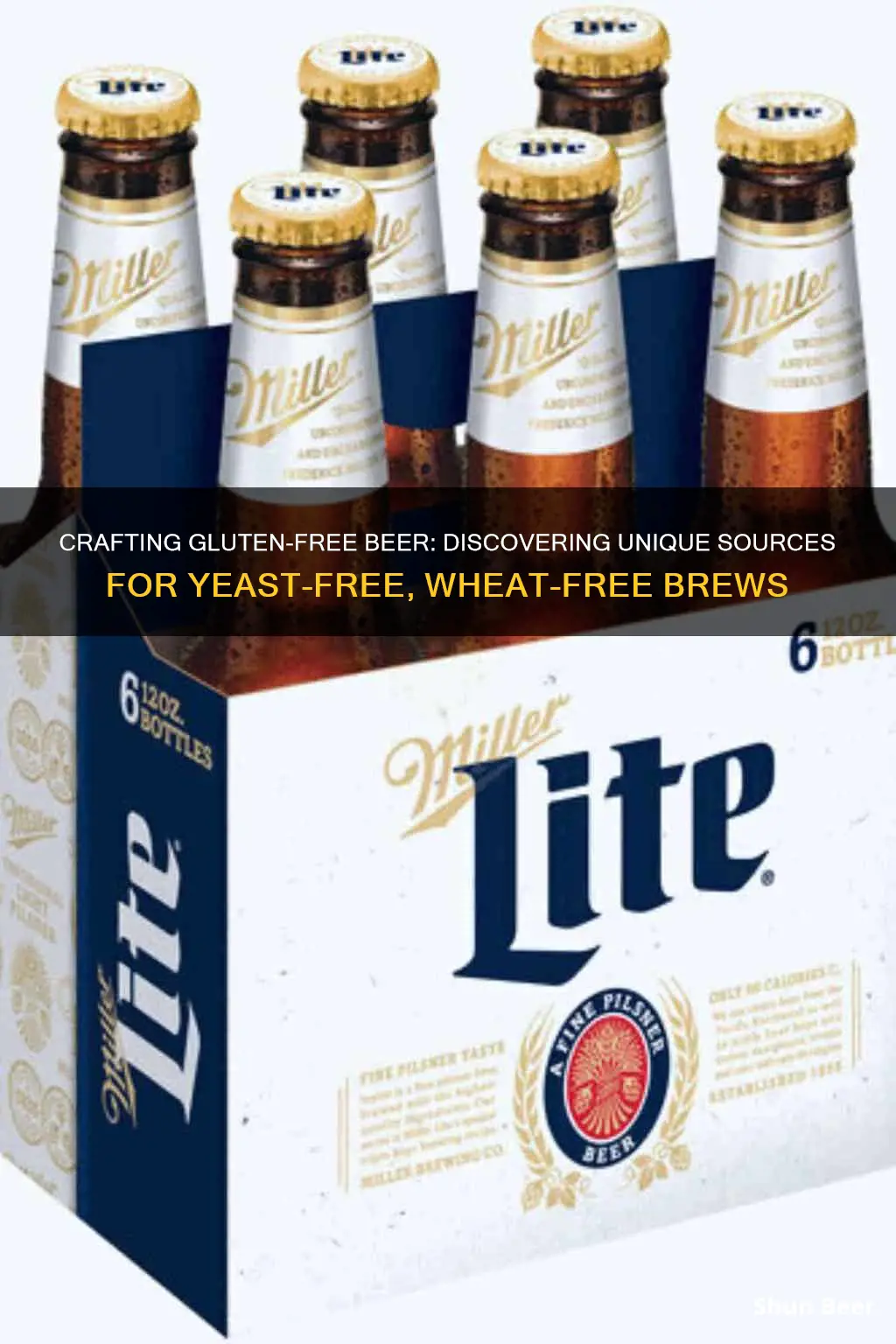 where to buy wheat free yeast free gluten free beer