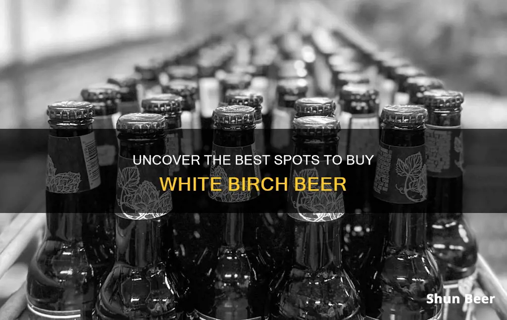 where to buy white birch beer