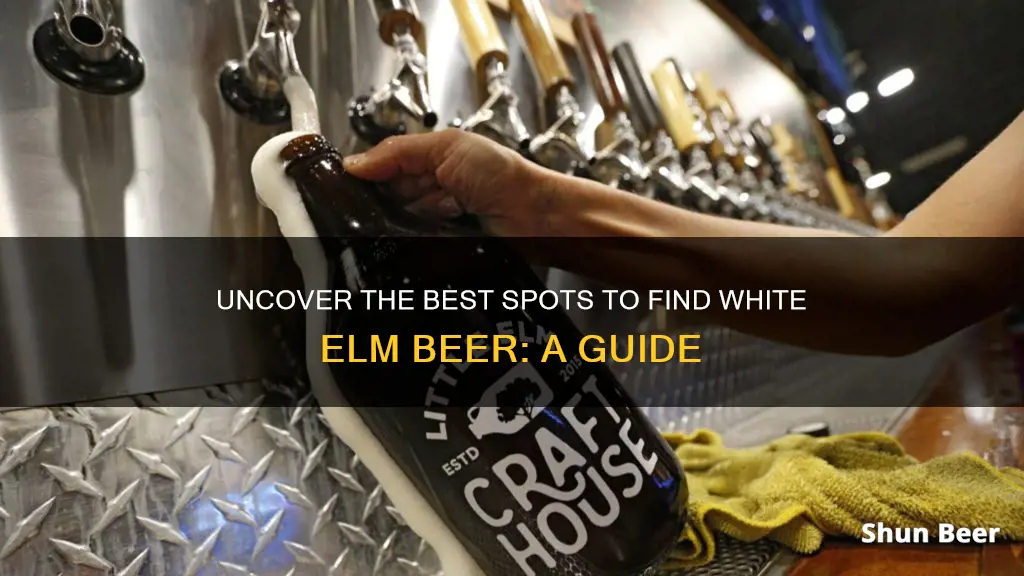 where to buy white elm beer