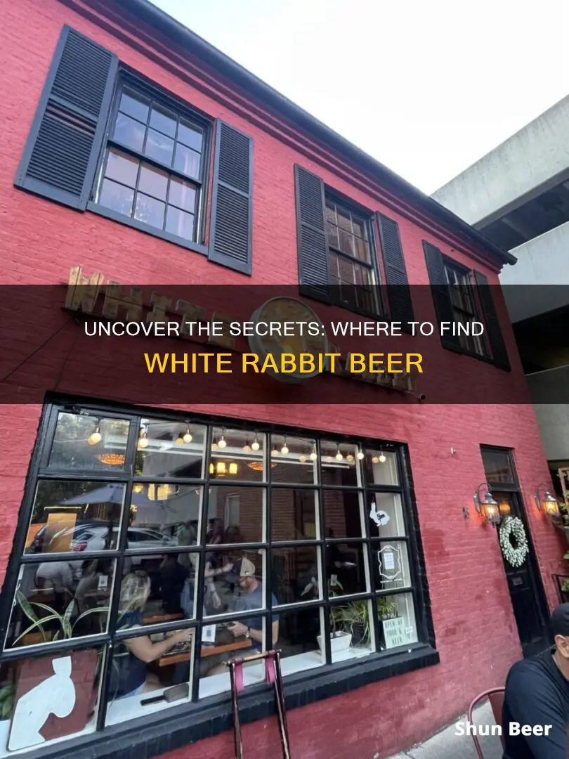 where to buy white rabbit beer