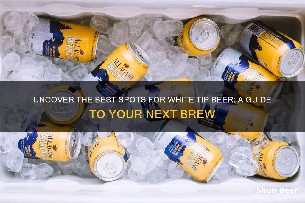 where to buy white tip beer