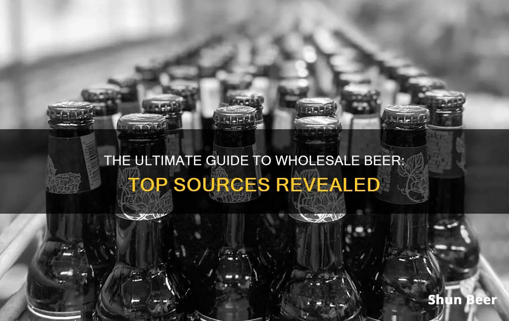 where to buy wholesale beer