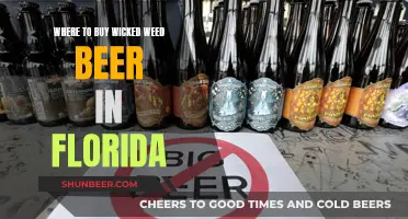 Uncover Florida's Best Spots for Wicked Weed Beer