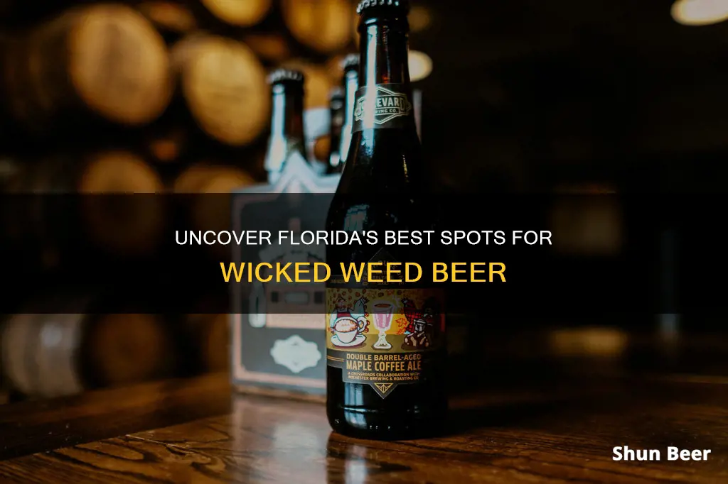 where to buy wicked weed beer in florida