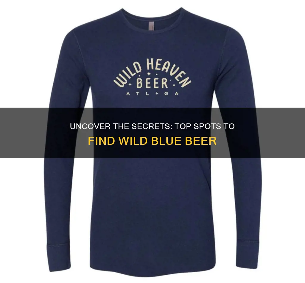 where to buy wild blue beer