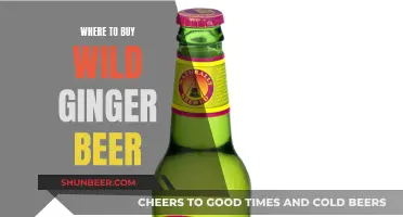 Uncover the Secrets: Top Spots for Wild Ginger Beer