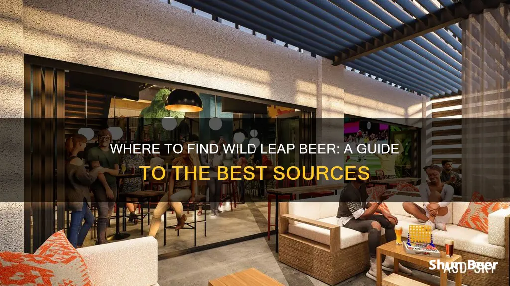 where to buy wild leap beer