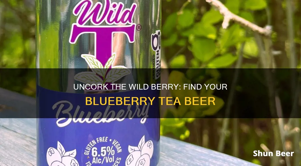 where to buy wild ohio blueberry tea beer