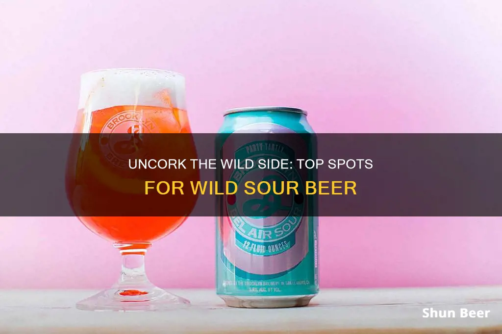 where to buy wild sour beer