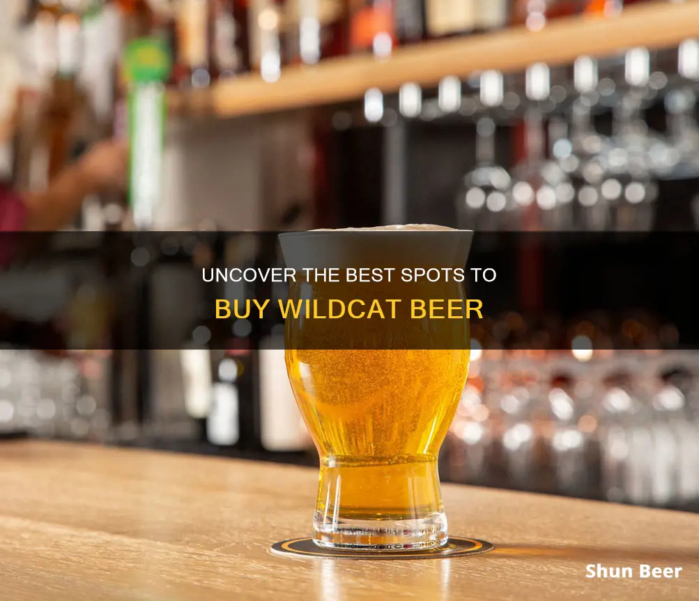 where to buy wildcat beer