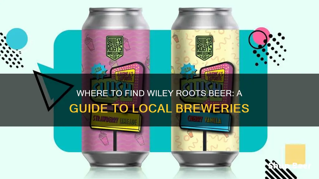 where to buy wiley roots beer