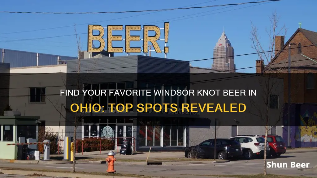 where to buy windsor knot beer in ohio