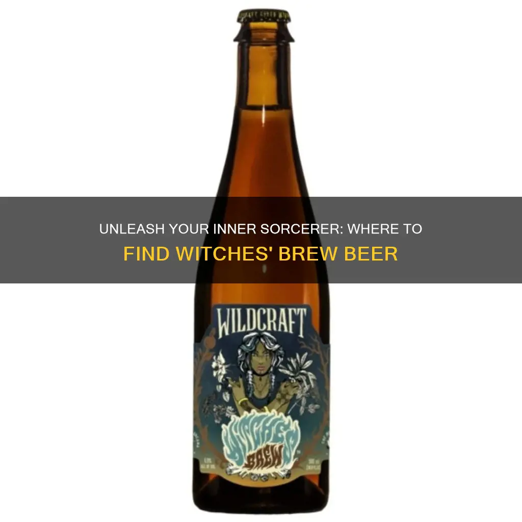 where to buy witches brew beer