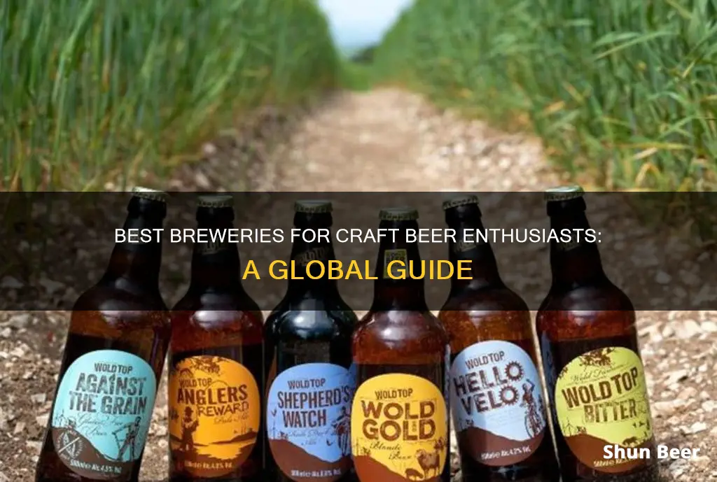 where to buy wold top beer