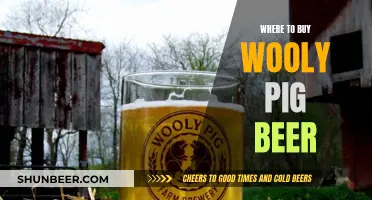 Uncover the Best Spots for Wooly Pig Beer