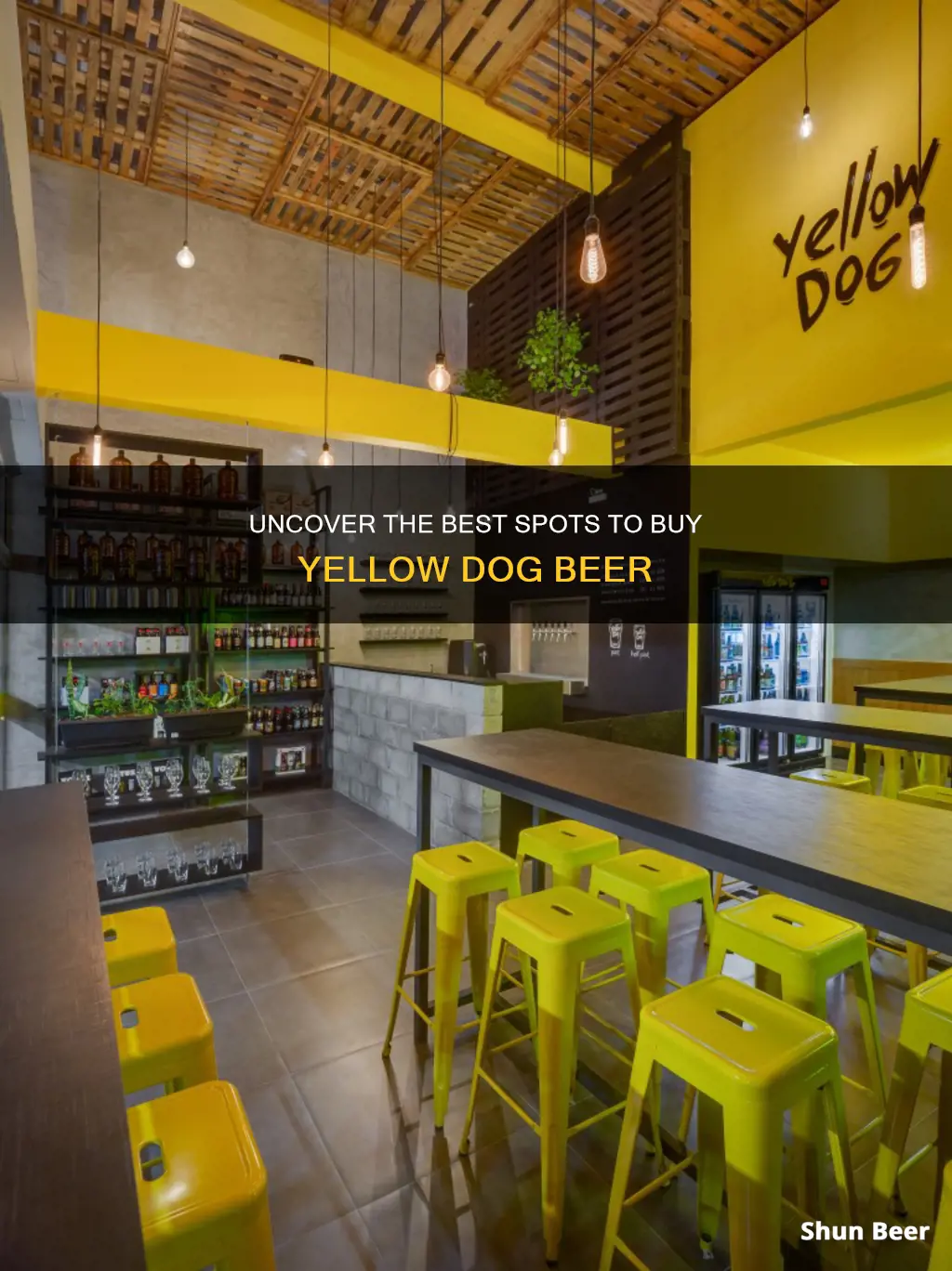 where to buy yellow dog beer