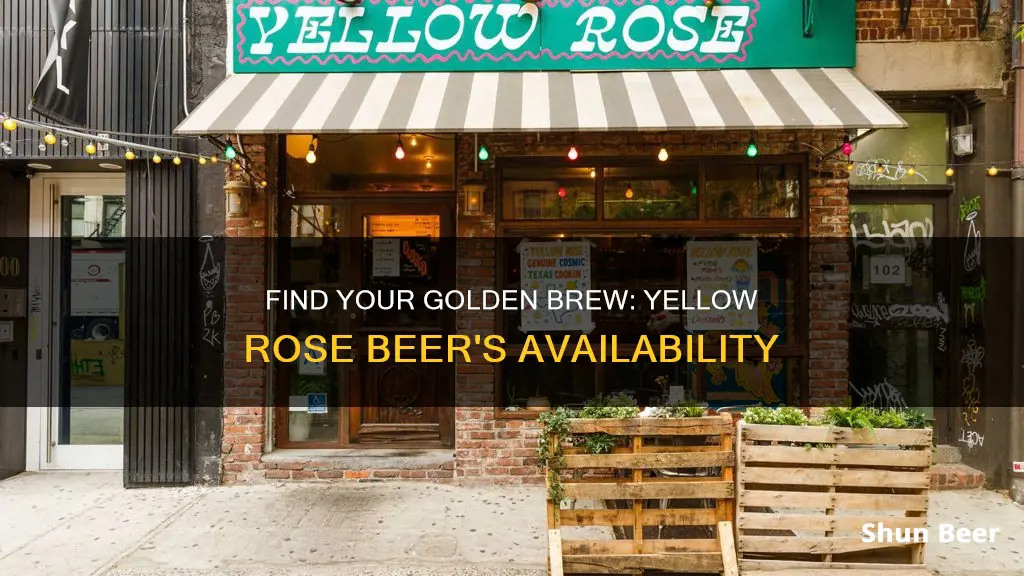 where to buy yellow rose beer