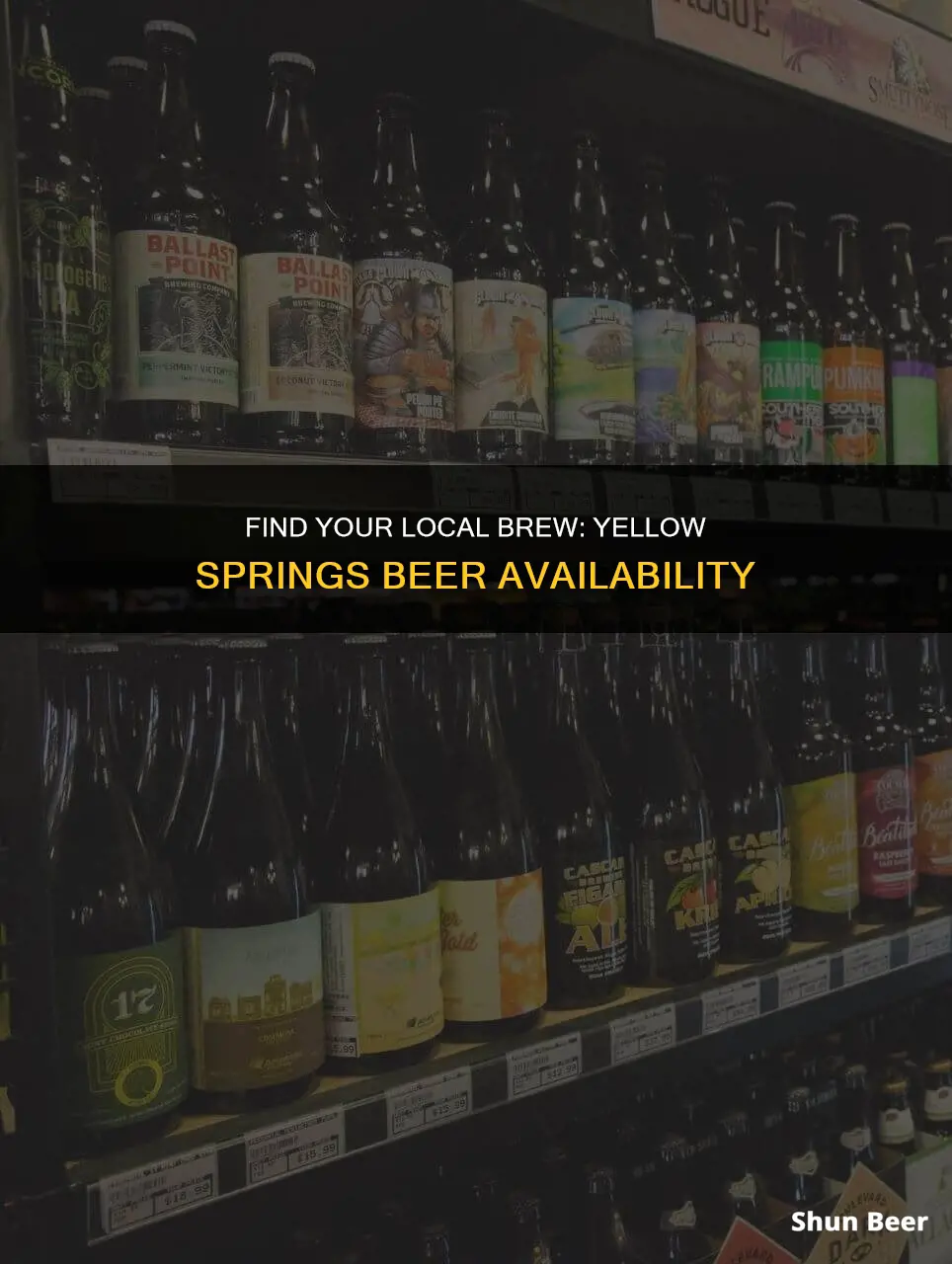 where to buy yellow springs beer