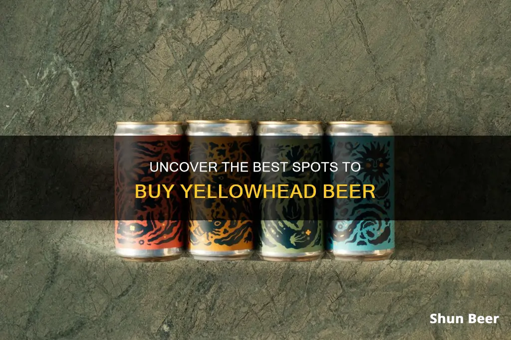 where to buy yellowhead beer