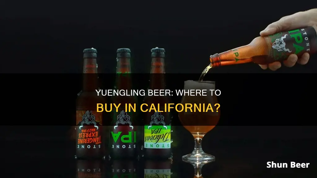 where to buy yuengling beer in california