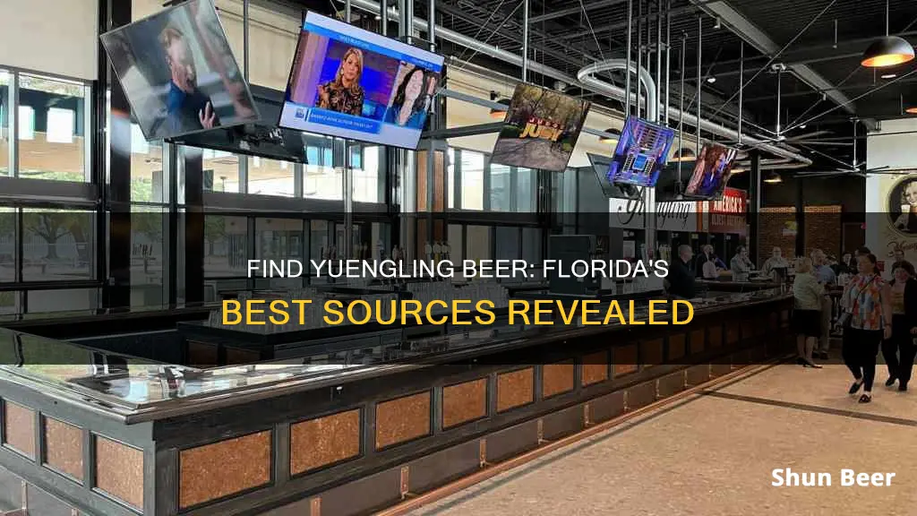 where to buy yuengling beer in florida