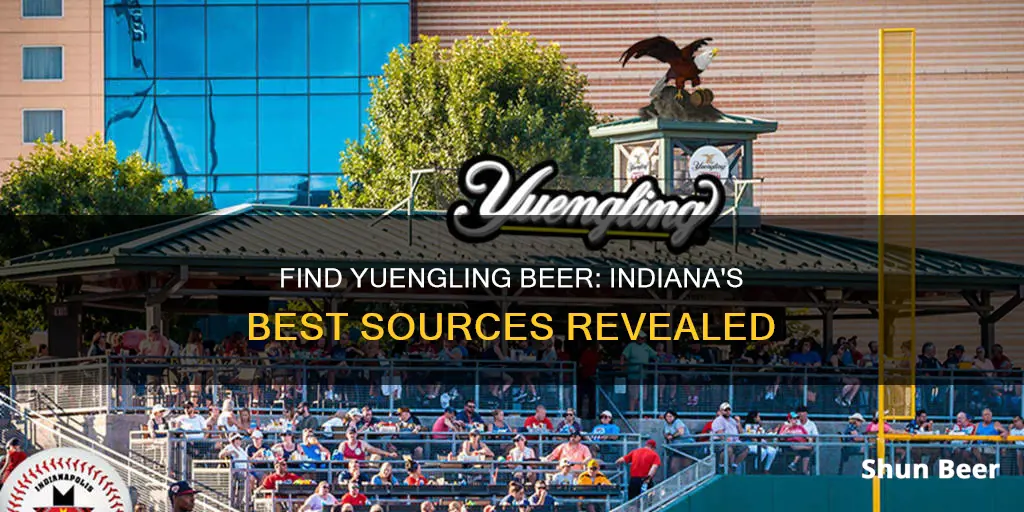 where to buy yuengling beer in indiana