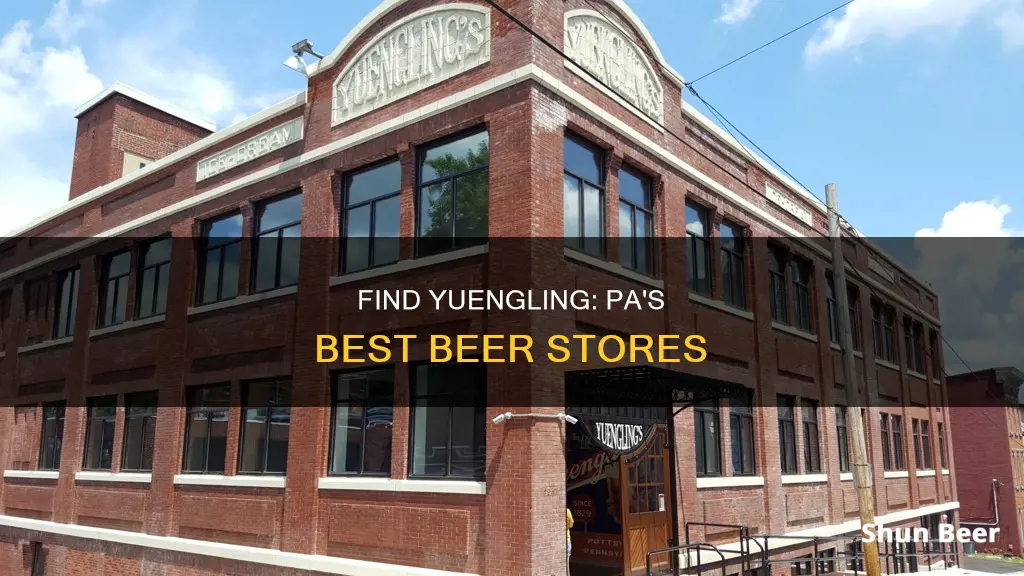 where to buy yuengling beer in pa