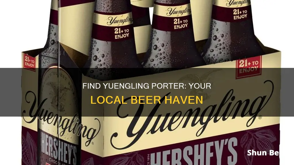 where to buy yuengling porter beer