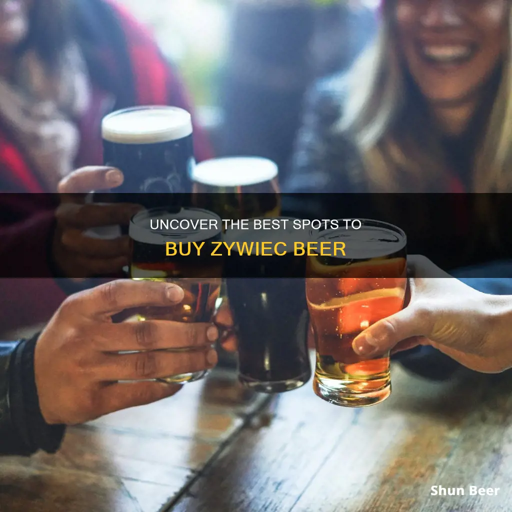 where to buy zywiec beer