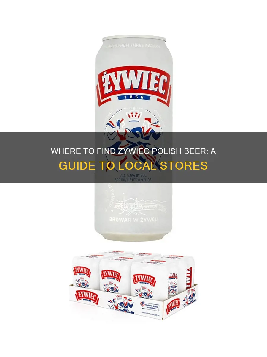 where to buy zywiec polish beer