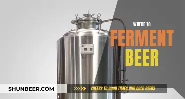 The Ultimate Guide to Fermenting Beer at Home