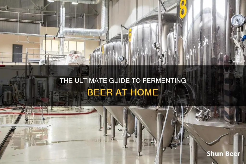 where to ferment beer