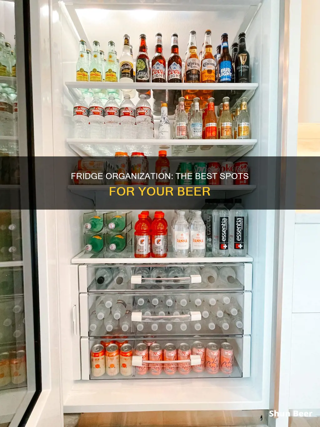 where to put beer in fridge