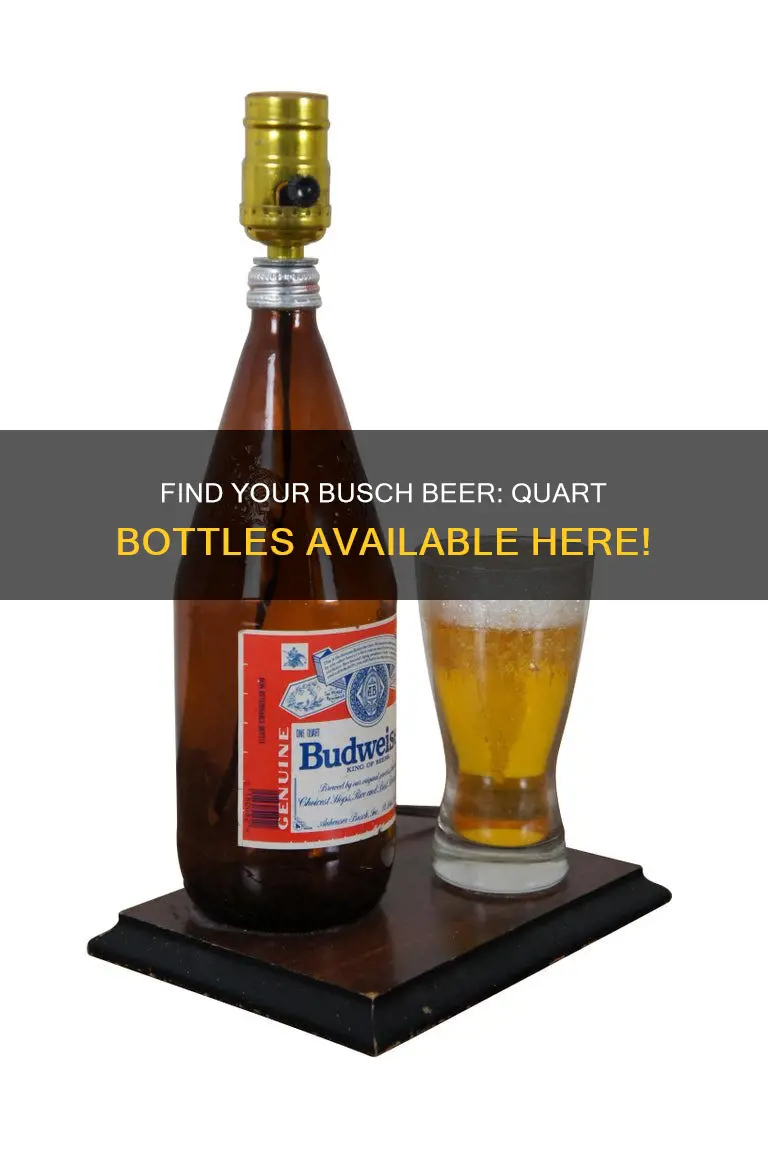 where we can buy quart bottle of busch beer