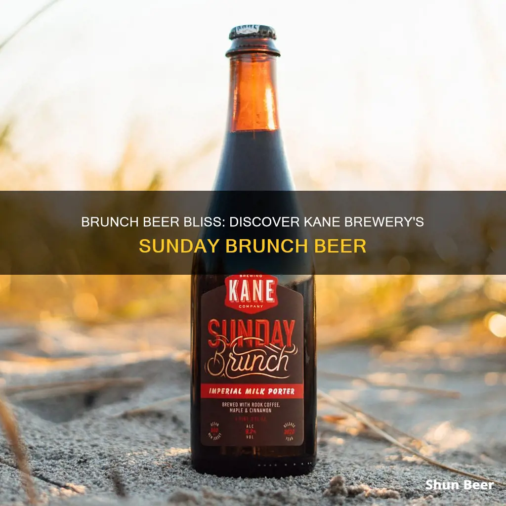 where you can buy sunday brunch beer of kane brewery