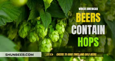 American Beer and Hops: Exploring the Connection