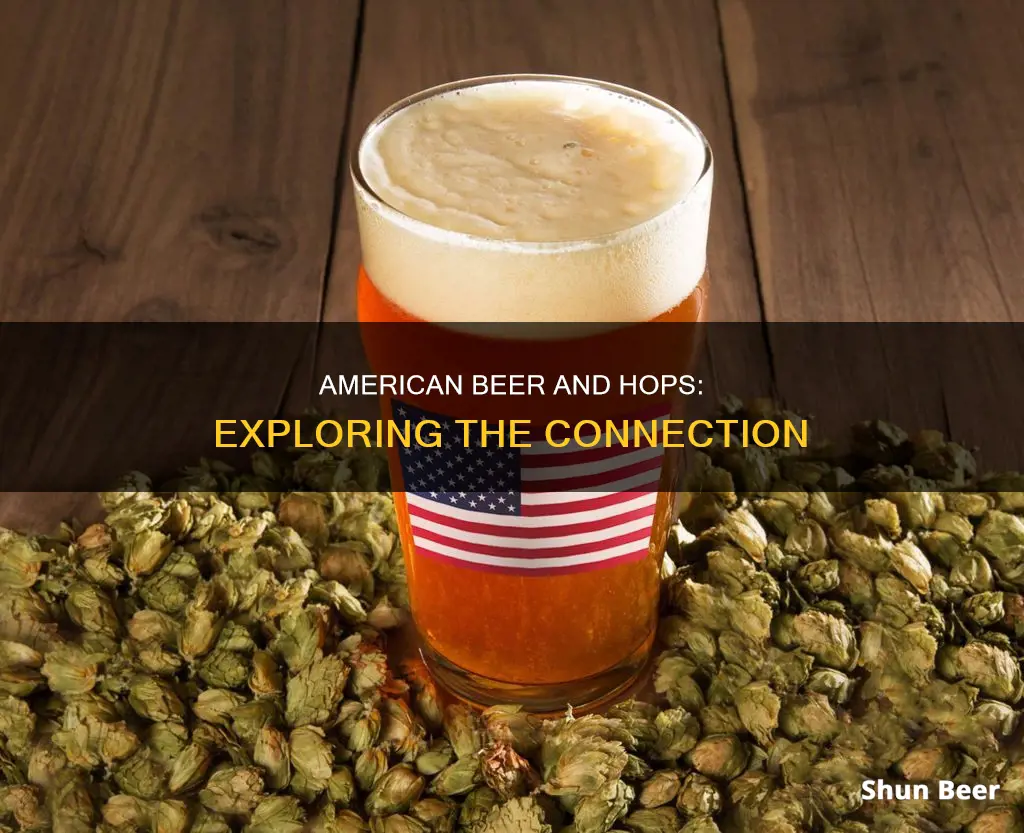 which american beers contain hops