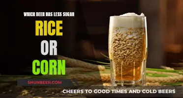 Rice vs Corn Beer: Which Has Less Sugar?