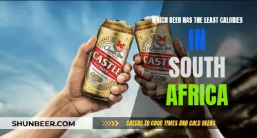 South Africa's Lightest Beers: Calorie-Conscious Drinking